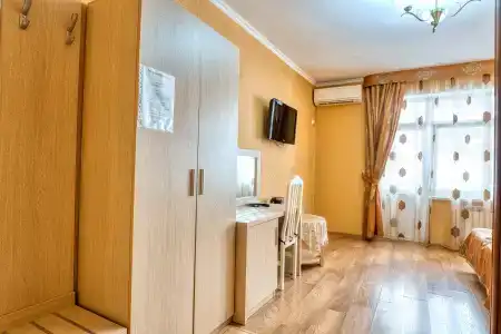 Аист - 85