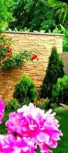 Green Garden - 5