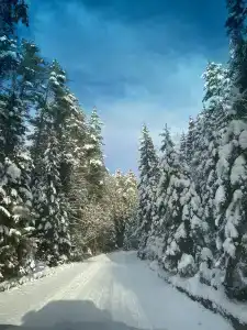 Частный дом Дом на берегу озера Селигер - 10