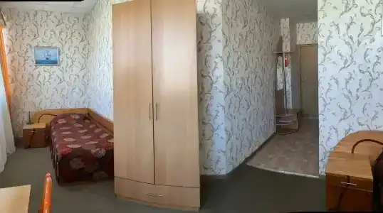 Паллада - 49