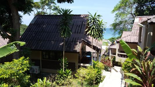 Kata Beachwalk and Bungalows - 7