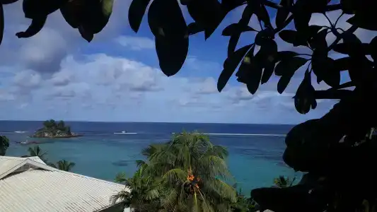 Au Fond De Mer View - 33