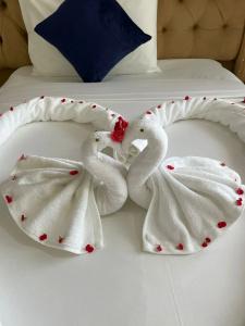 Sunny Palms Beach Bungalows - 30