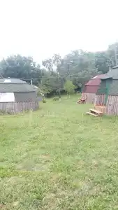 Дикий Крым - 11