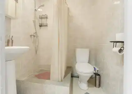 Ладомир Болотниковская - 3