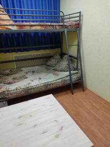 Zebra Hostel - 19