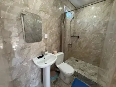 Артин - 24