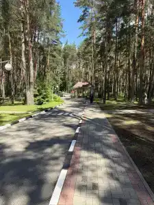 Пралеска - 8