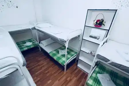 Гости - 40