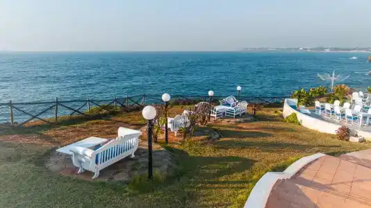 Golden Tulip - 47