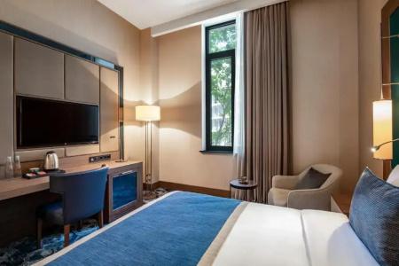 Tbilisi Philharmonic by Mercure - 25