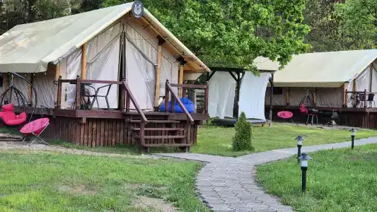 Магия леса в Беловежской пуще - 153