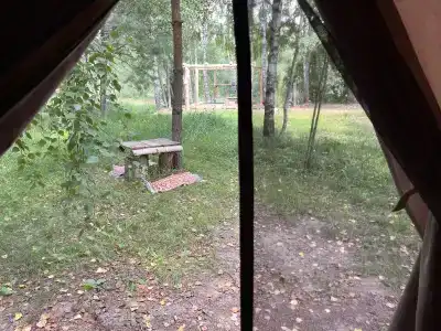 Звездный лес - 137