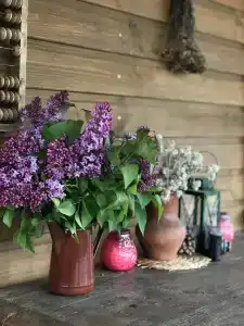 медника Чичерина - 15