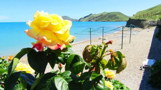 Катран 13/3 - 43