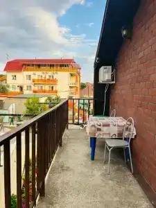 Виолетта - 15