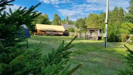 Магия леса в Беловежской пуще - 180