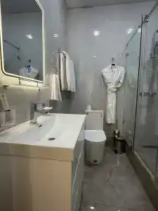Art Regency Premium Free Airport Service - 34