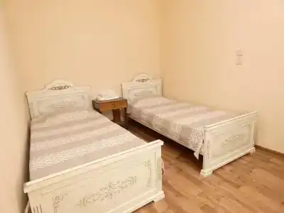 Тюльпан - 4