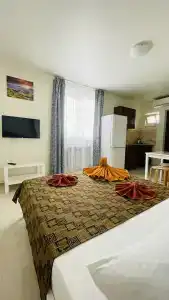 Гости - 77