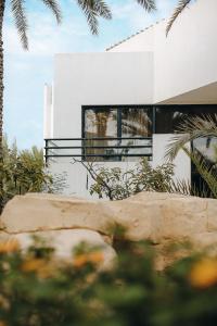 Dubai Marine Beach Resort & Spa - 5