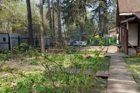 Стародачное Место - 44