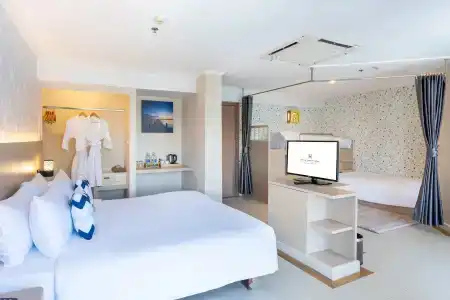 Mercure - 91