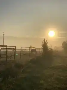 Первая Лошадь - 5