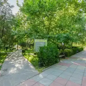 Парус - 14