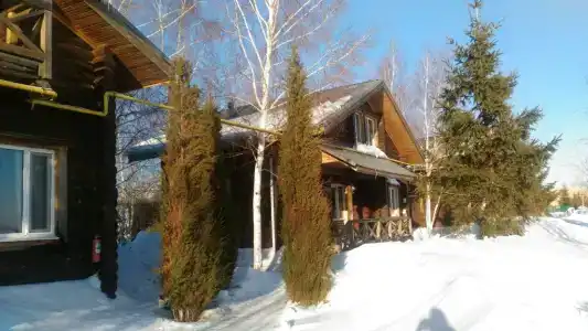 Подсолнух - 12