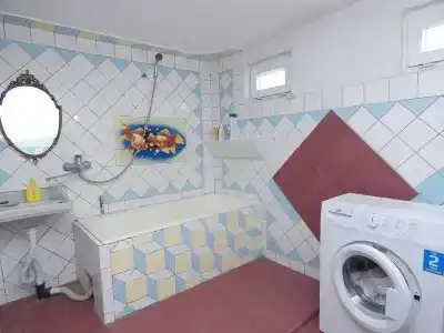 Тюльпан - 14
