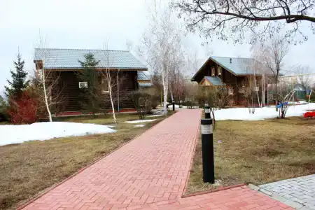 Подсолнух - 28