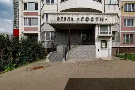 Гости - 3