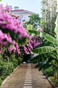 Splendid Palace - 38