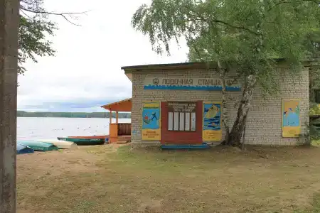 Орлинка - 15