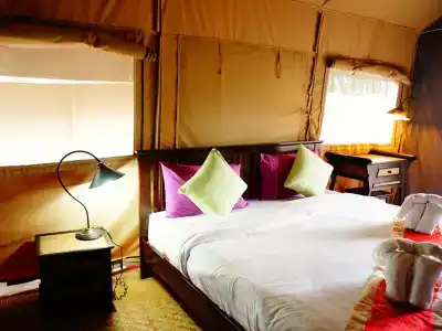 Khaosok Boutique Camps - 156