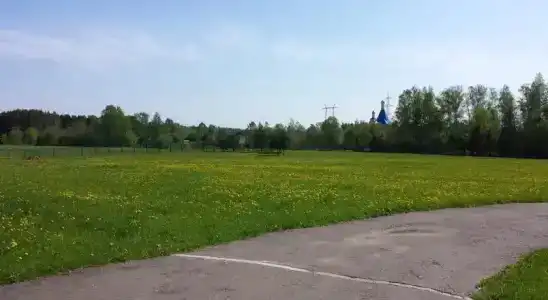 Флора Парк - 17