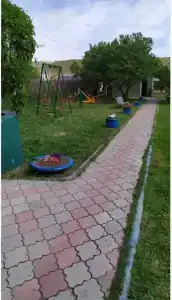 Вирджиния - 6
