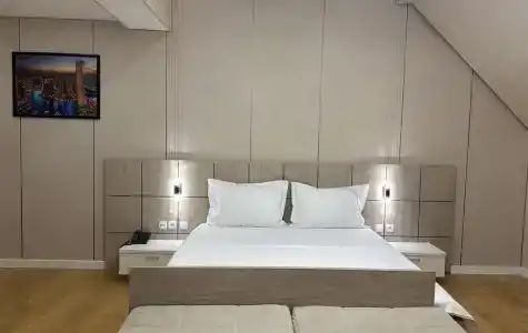 Art Regency Premium Free Airport Service - 13
