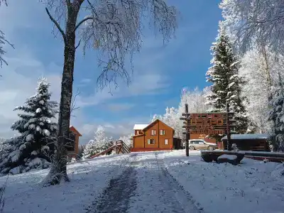 Лесное озеро - 13