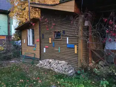 Тарховка - 7