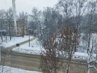 Березка - 9