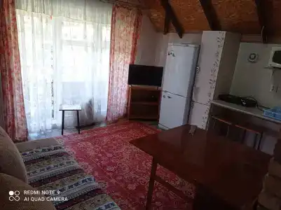 Подсолнухи - 83