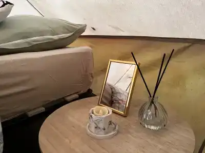 Звездный лес - 26