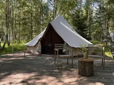 Звездный лес - 53