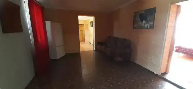 Сосны - 1