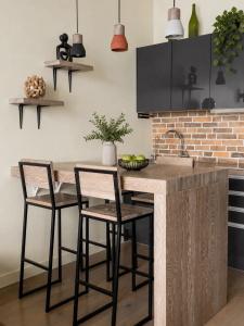 Loft Apartment - 161