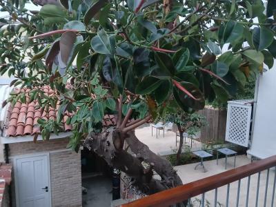 House of Good Things Zeytin Çıkmazı - 34