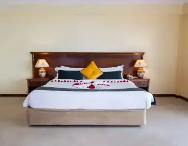 Golden Tulip - 22