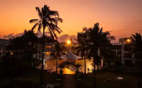 Golden Tulip - 37